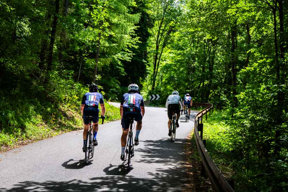 Forest ride with guests