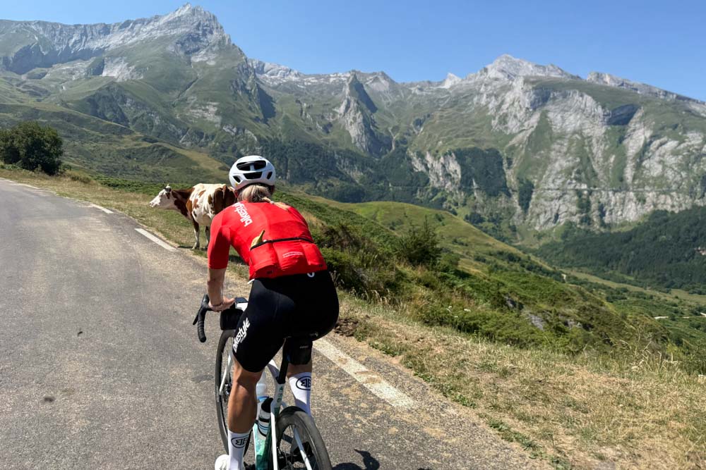 Look out for the locals on the Tourmalet