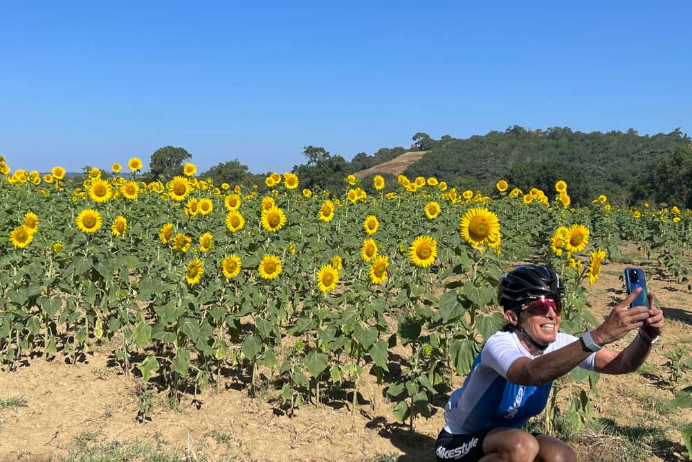 Sunflower field happy snap
