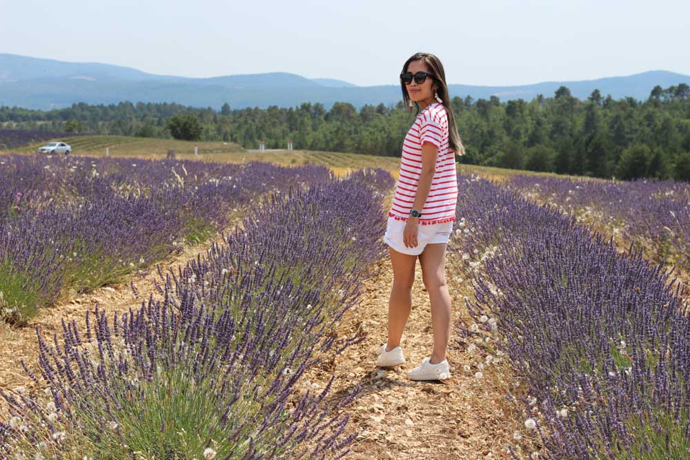 Female, Flowers, France, Lavender, Place of Interest, Provence, Provence Pyrenees Paris, TDF, Tour de France