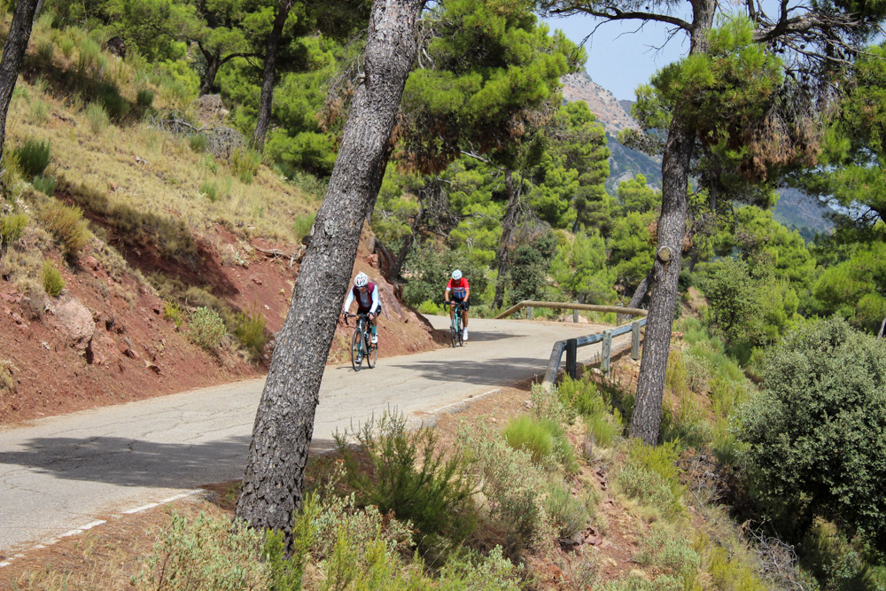 Cyclist climbing a quiet mountain road during a guided cycling tour