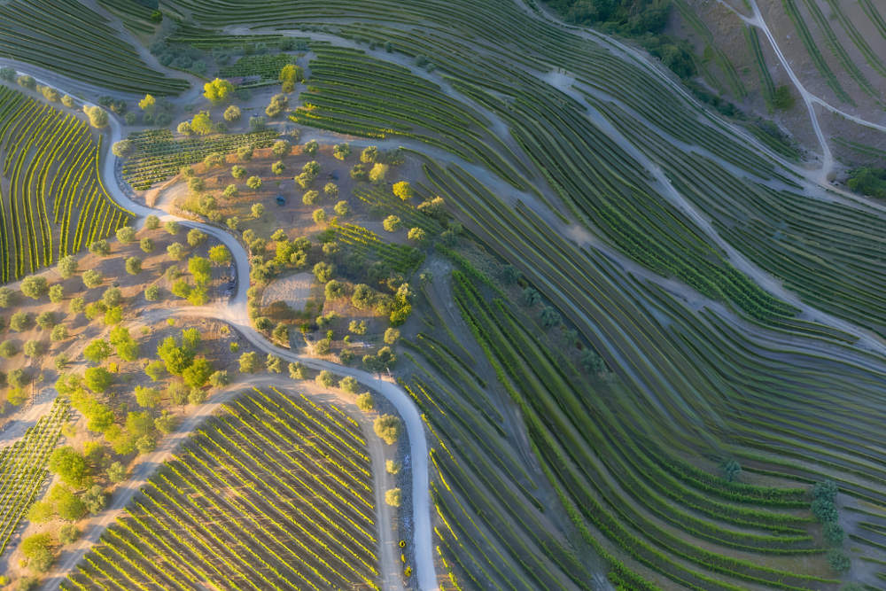 Douro River winding through vineyard terraces