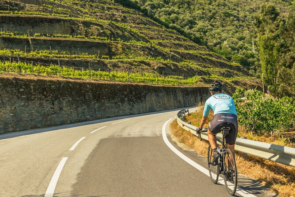 Cyclists riding through the Douro Valley on a Portugal cycling tour