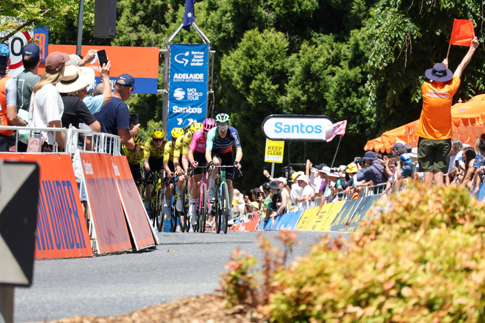 Peloton of cyclists racing along a barricaded street while spectators line the course and cheer, with orange barriers and event banners nearby.