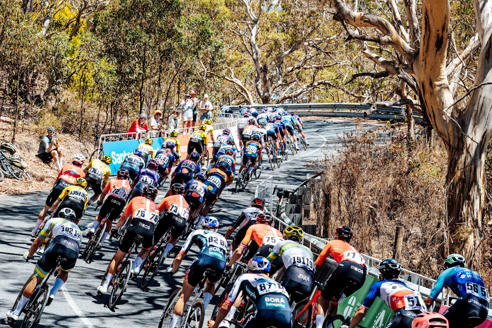 Santos Tour Down Under Mens Race