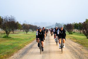 Group of cyclists riding on a gravel country road lined with trees on a misty morning, forming a peloton.